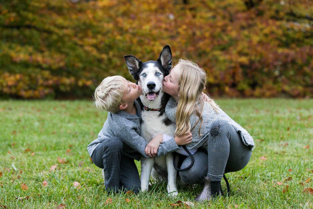 Maryland Family Portrait Photographer - kids & dogs