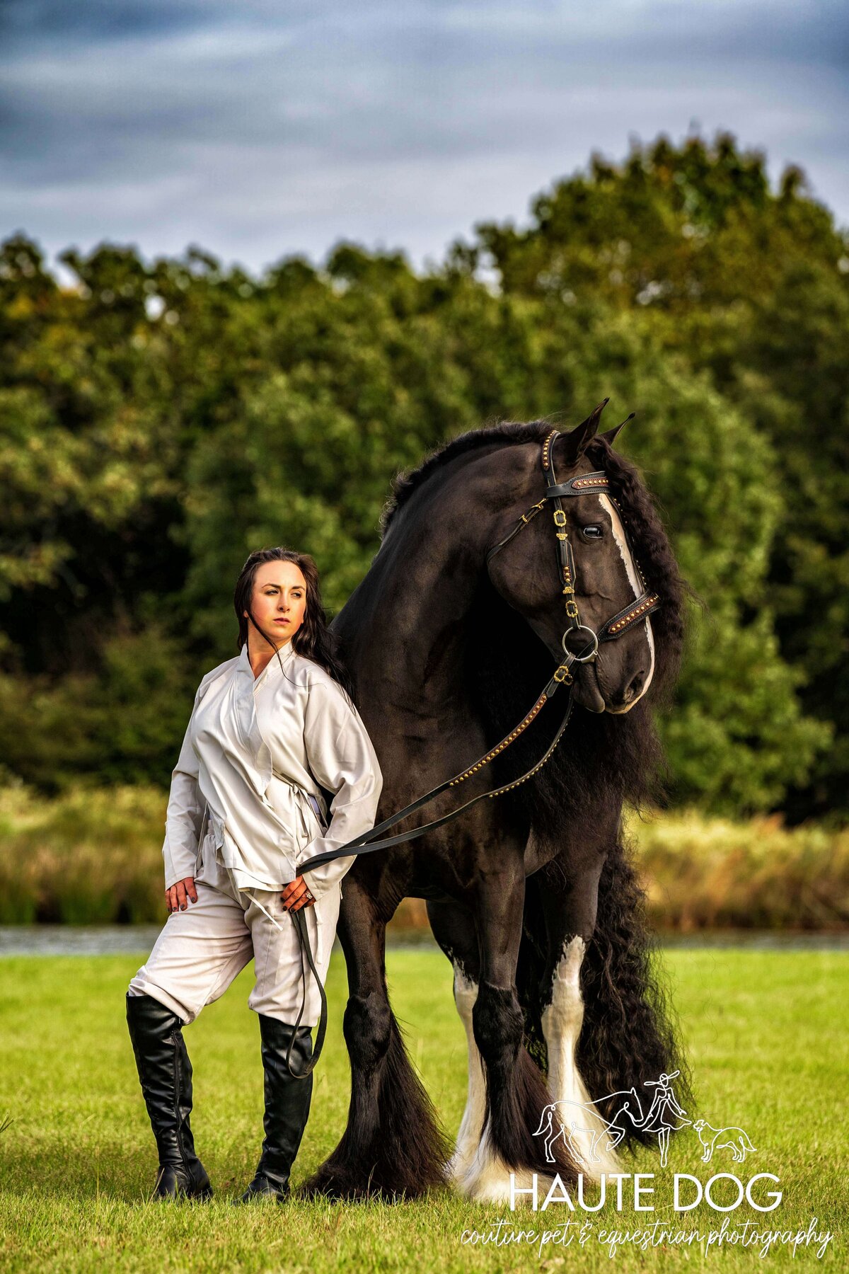 Female equestrian poses with black Gypsy Vanner wearing an ornate bridle, both looking to the side.