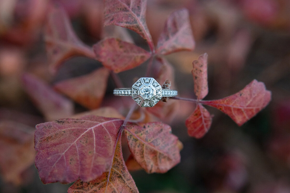 Diamond Engagement Ring in Fall Foliage