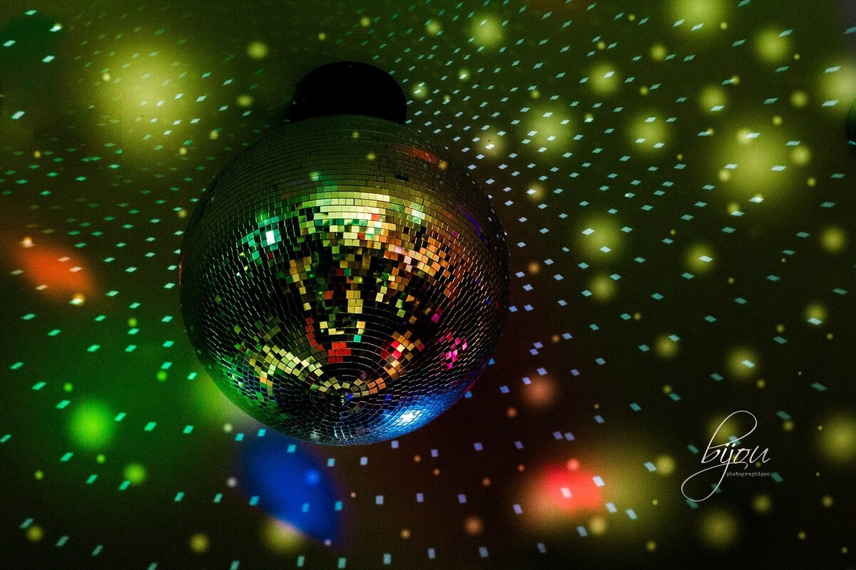 Disco Botanica Disco Ball