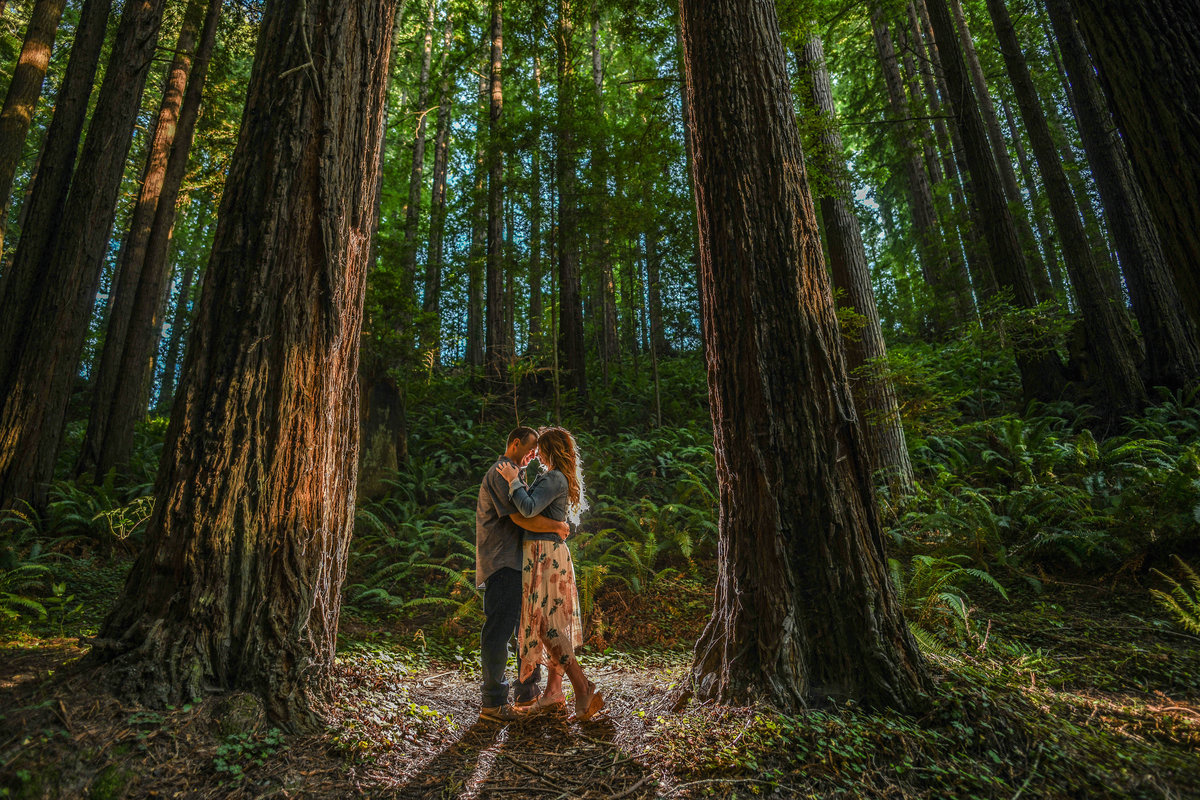 Redway-California-engagement-photographer-Parky's-Pics-Photography-Humboldt-County-redwoods-Avenue-of-the-Giants-Humboldt-Redwoods-State-Park-engagement-2.jpg