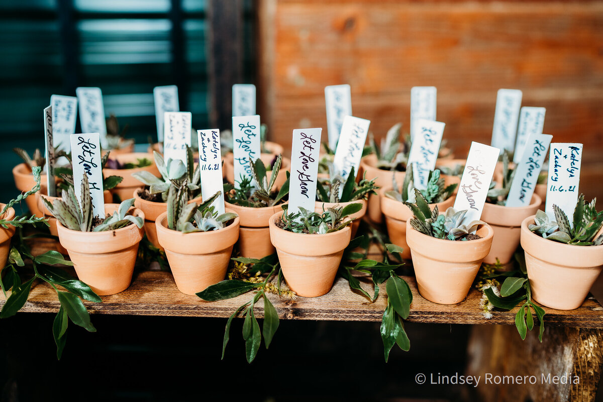 Let Love Grow succulent wedding favors at the stables, new Iberia, la