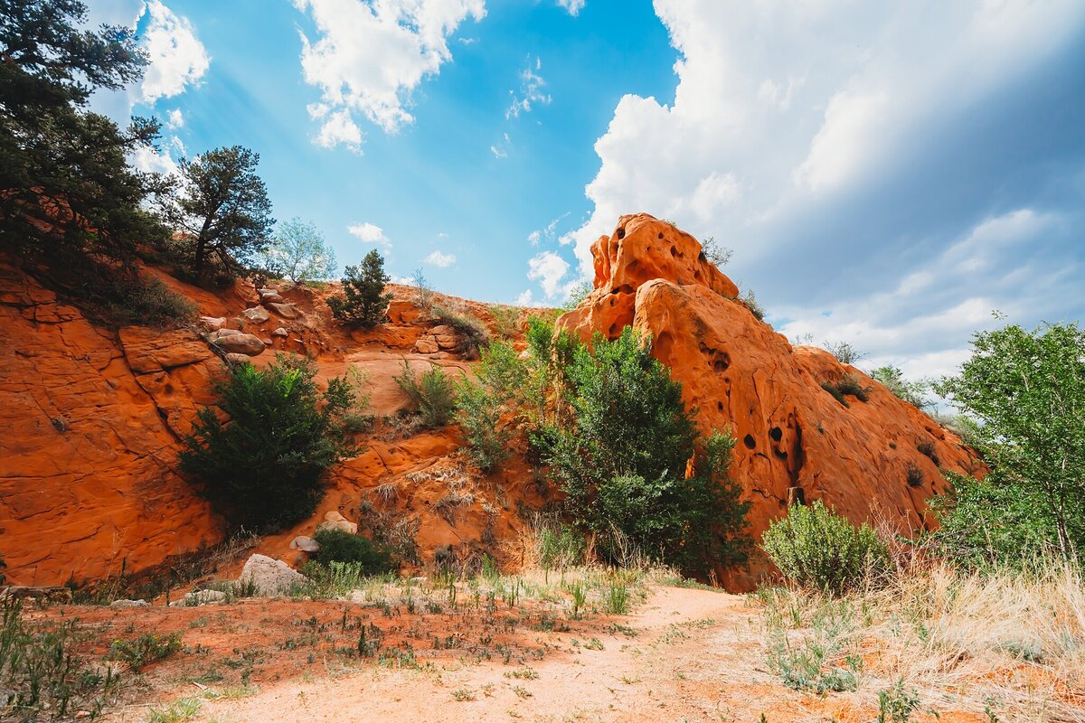 Red -Rock-Canyon_0460