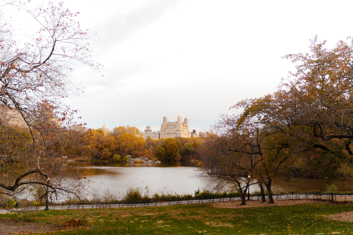 Central Park Engagement Photos 1