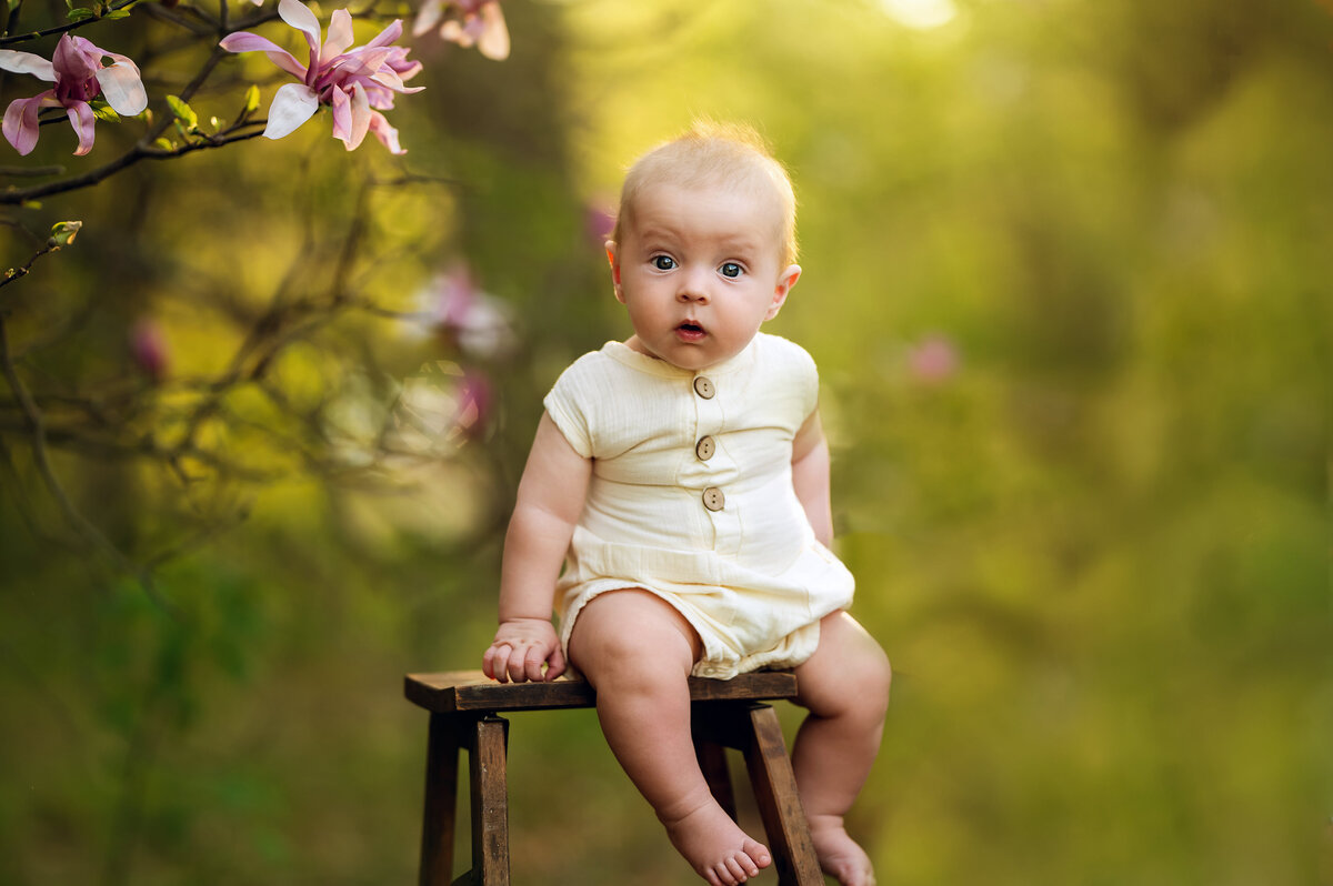 A baby boy sits on a bench in Minooka Park surrounded by pink magnolia blossoms.