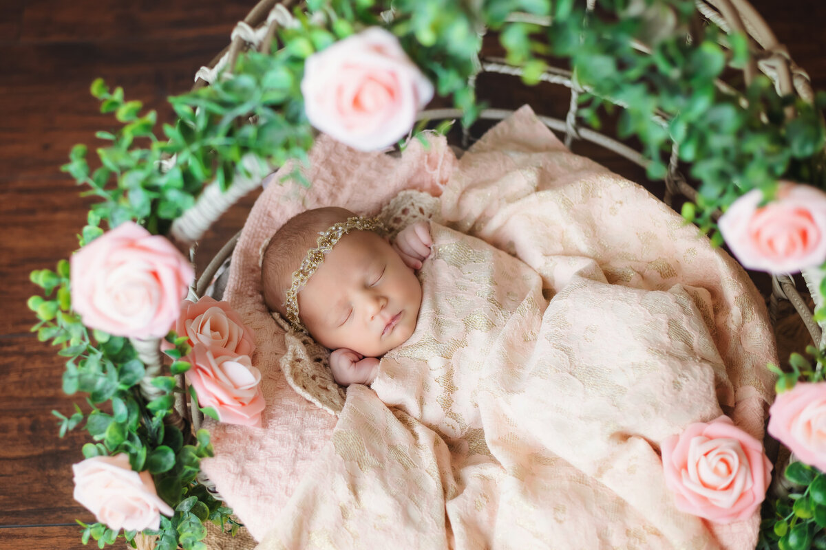 Newborn Photographer, a baby girls sleeps in a basket with leaves and pink roses around her