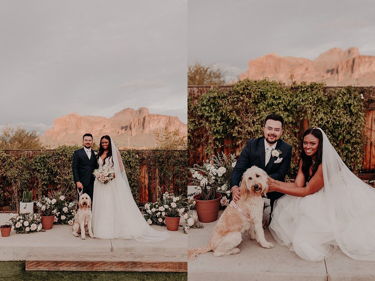 Bride and groom stand with their golden doodle dog on their wedding day