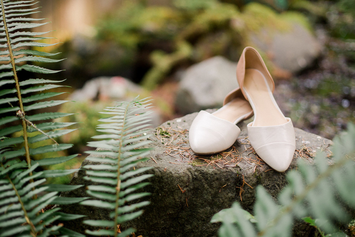 shoes on rock of mount rainier ground foliage