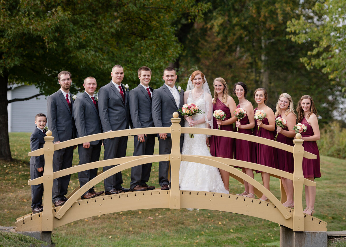 bridal party lined up on a small arch bridge