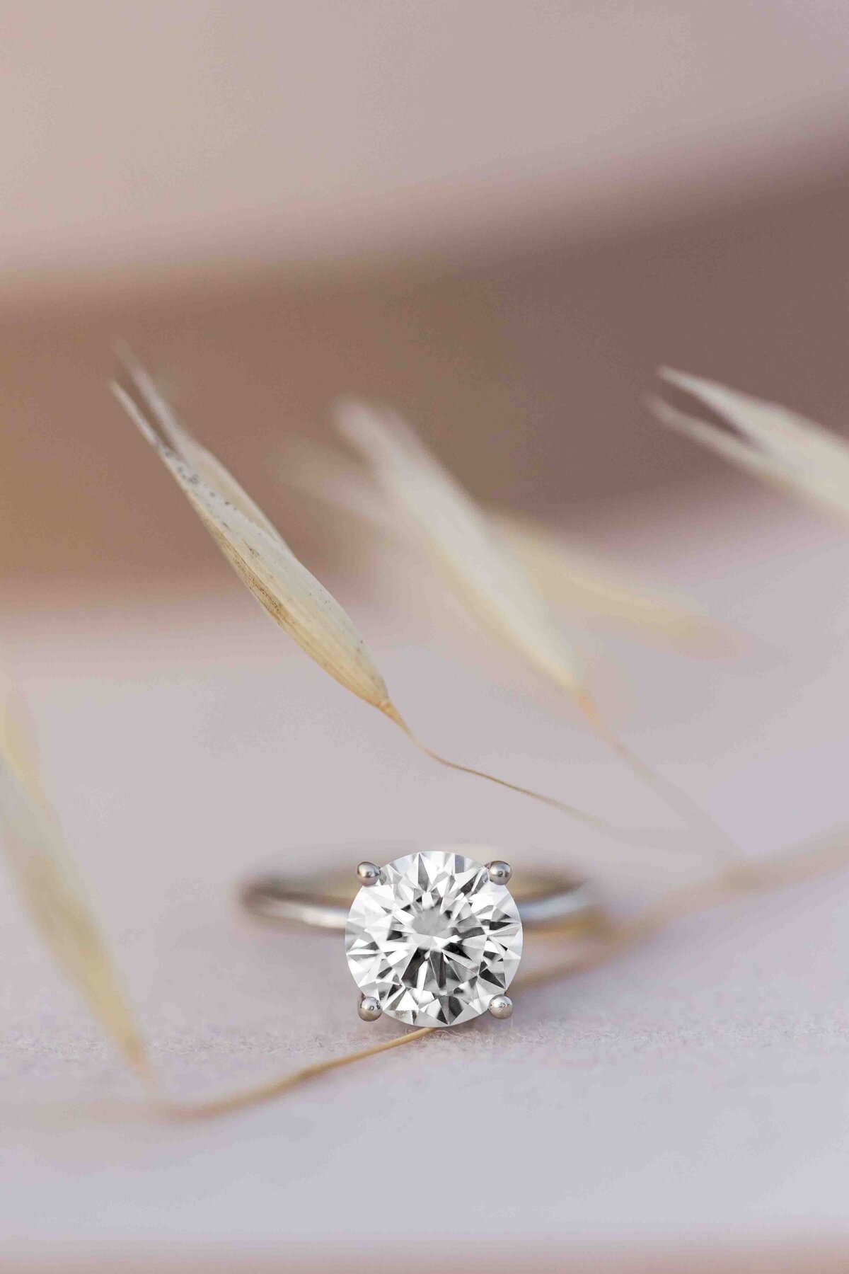 engagement-ring-with-dry-grass