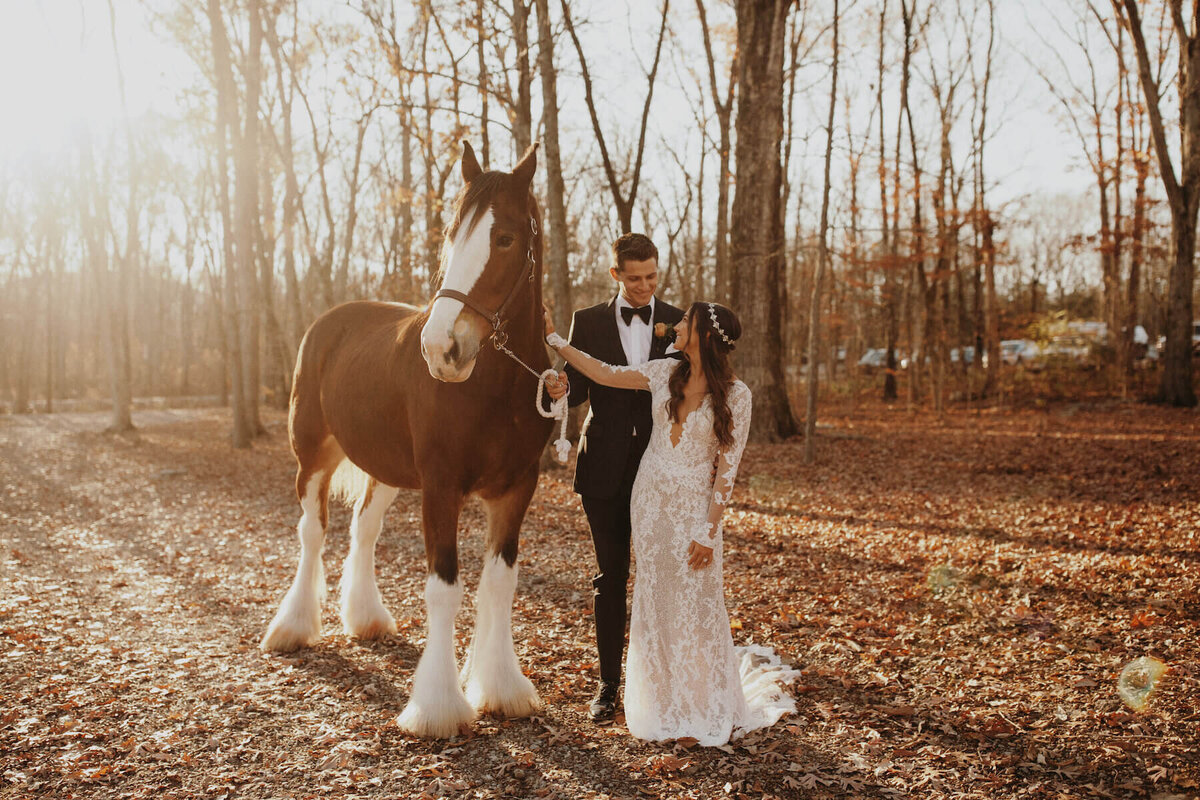 bride and groom with horse at farm fall wedding