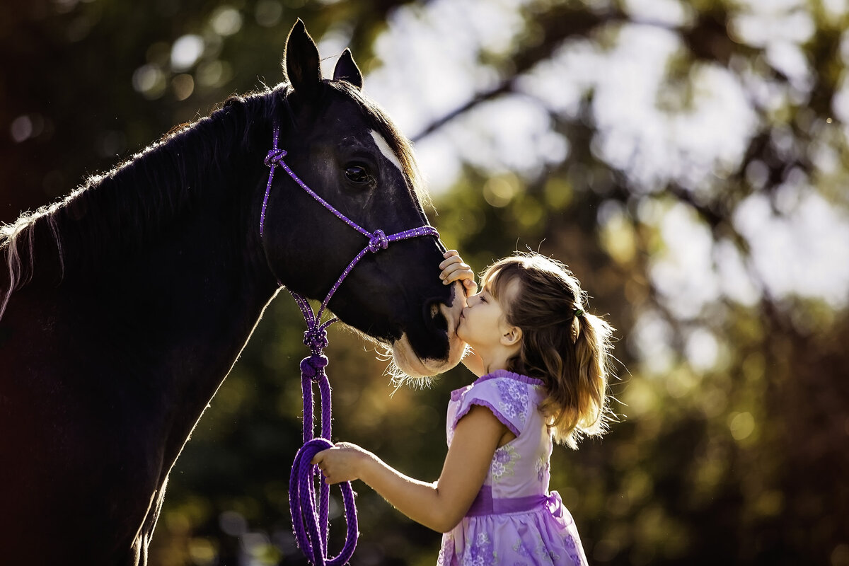 horse-denver-family-photographer