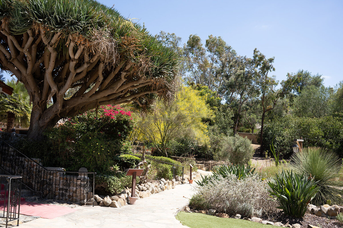 Leo Carillo Ranch Wedding 5