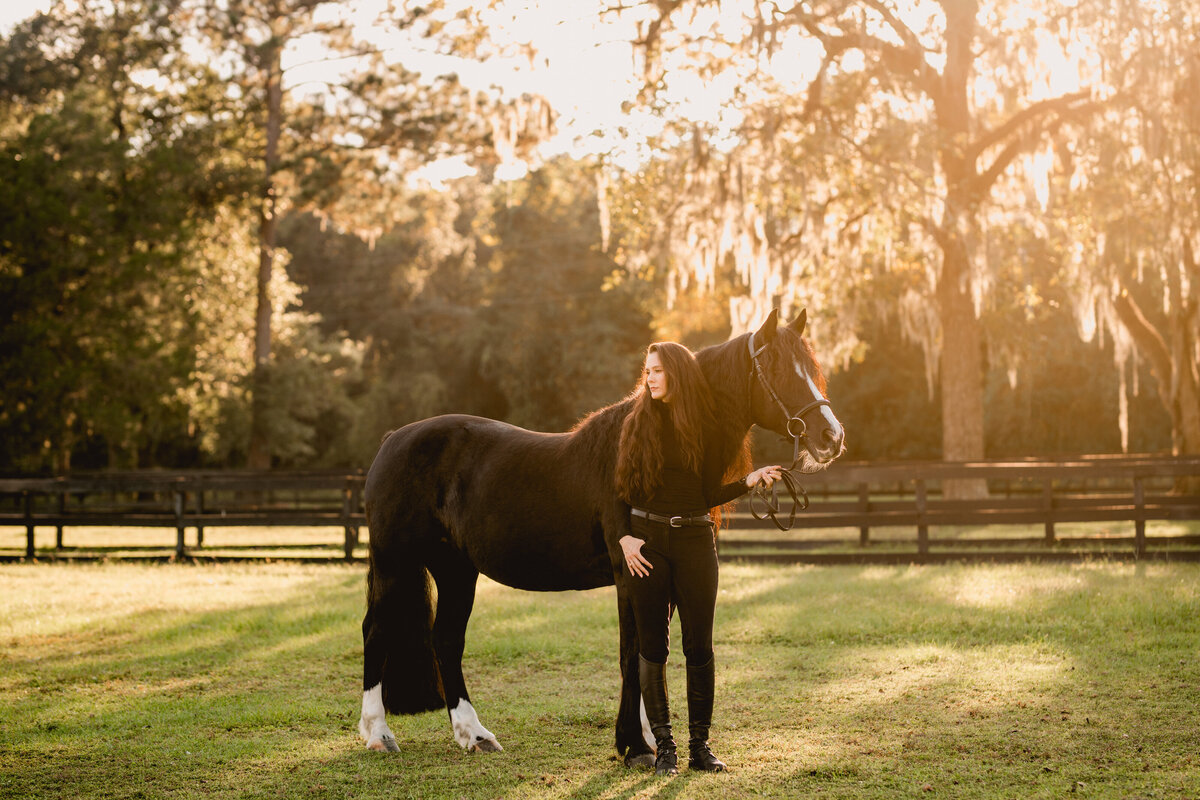 Equine photoshoot at sunset in Tallahassee, Florida at Dover Farms.