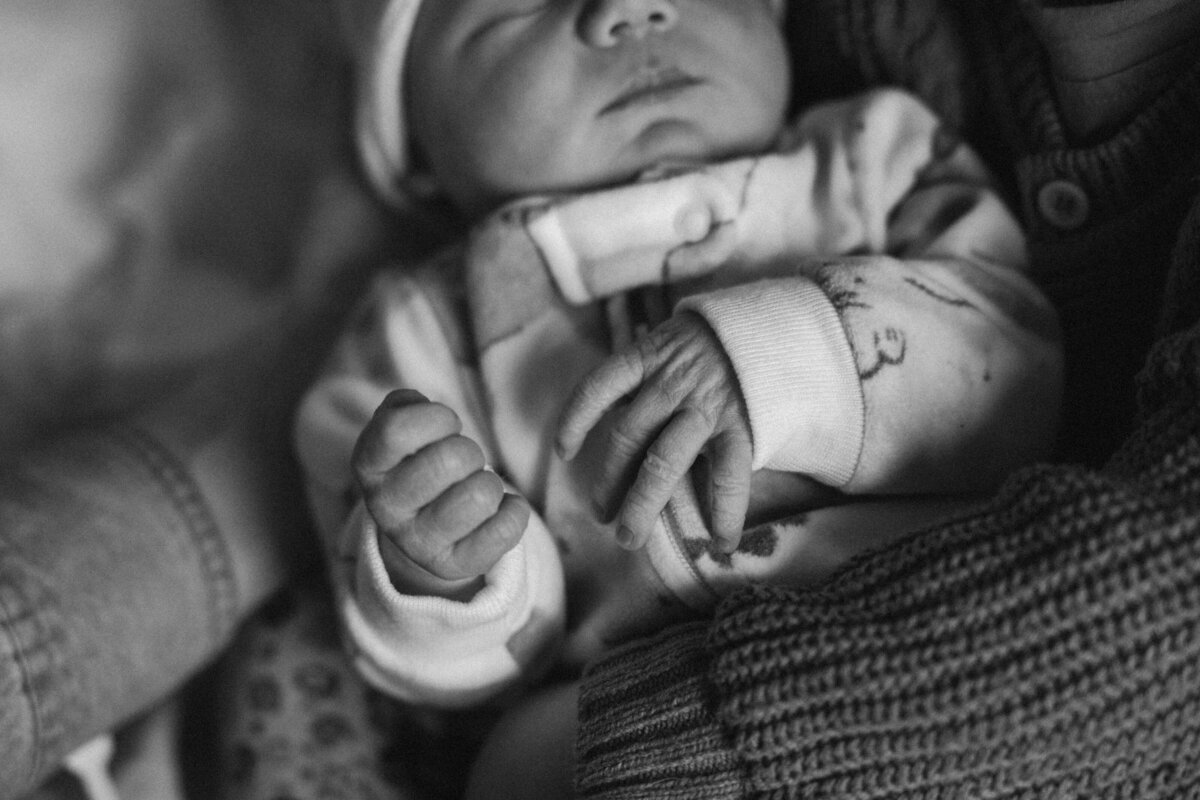 Family Photography in MN 