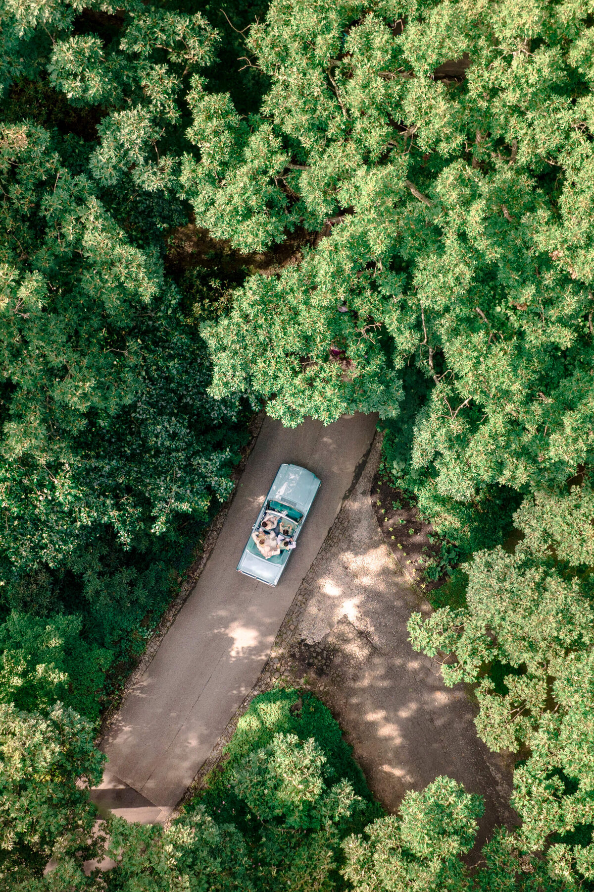 Aerial view of a vintage car with passengers driving through a dense, lush green forest on a narrow road. The sunlight filters through the trees, casting dappled shadows on the road.