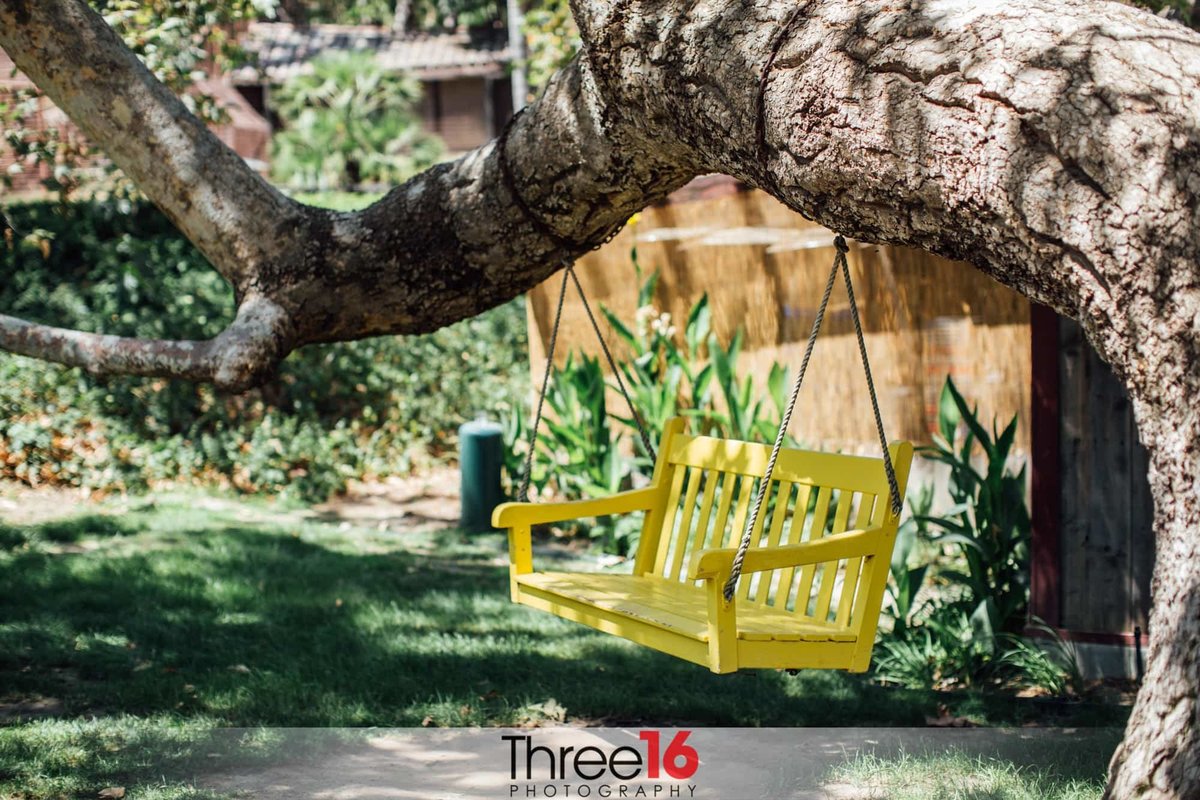 Yellow swing bench hanging off a tree at Rancho Las Lomas wedding venue