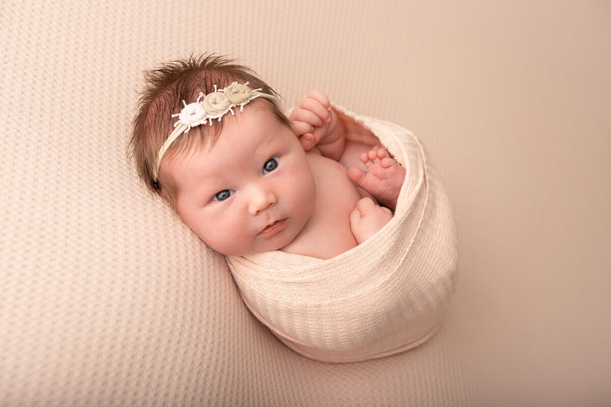 Wrapped studio newborn pose on baby pink