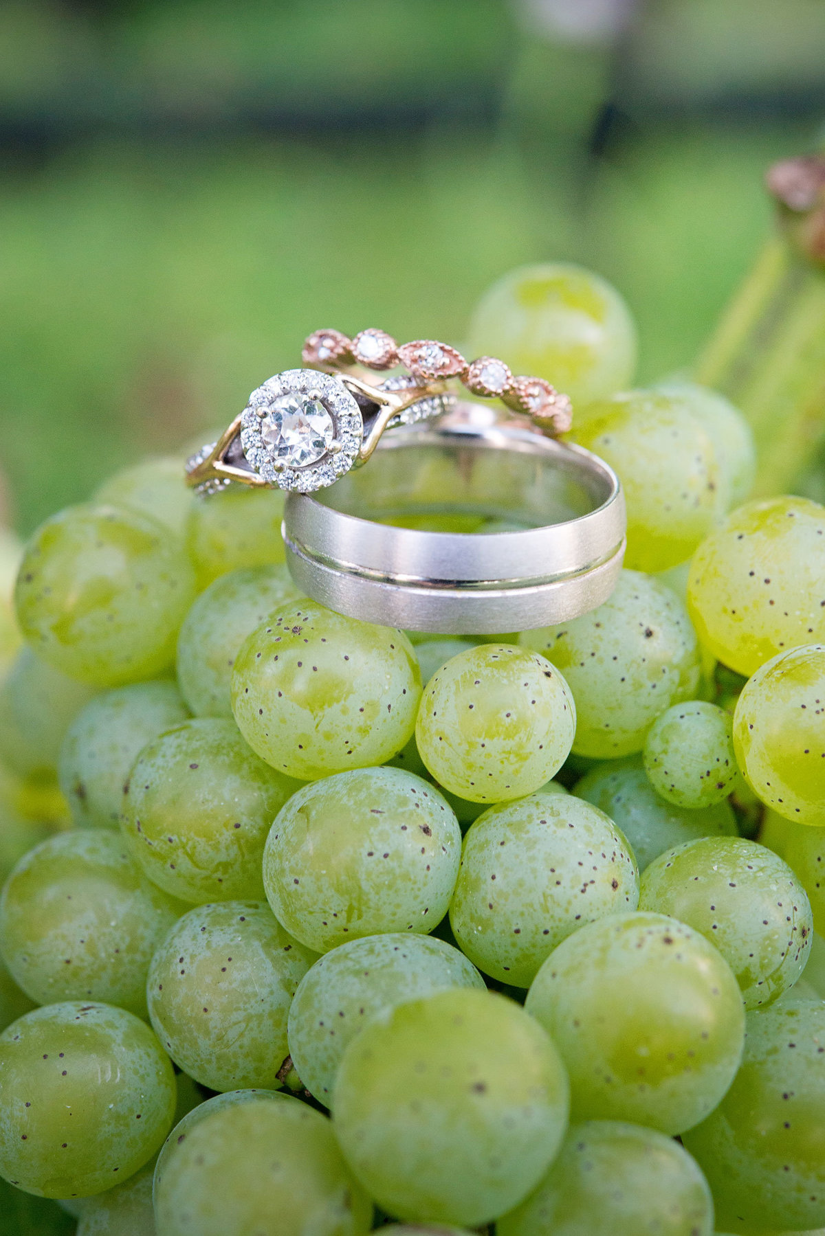 Wedding rings on grapes at Duckwalk Vineyards