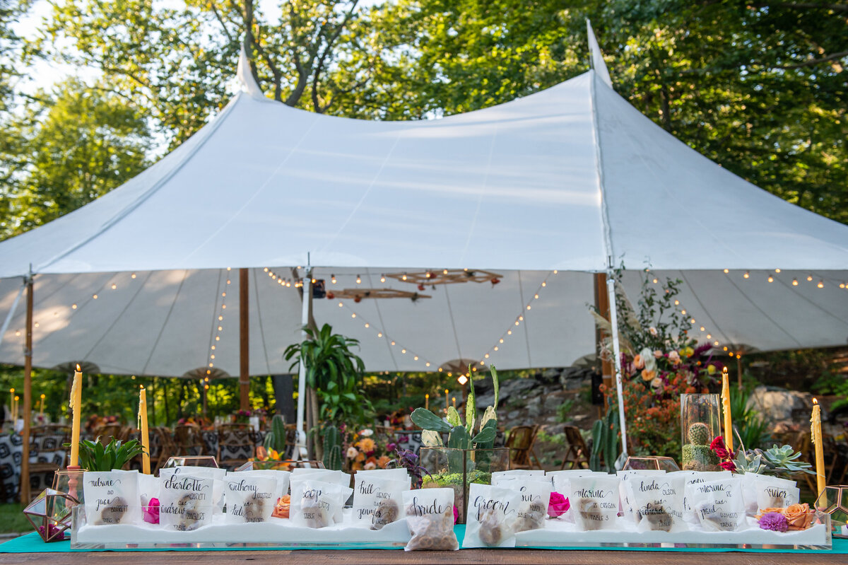 PRIVATE-HOME-TENTED-WEDDING-CARLA-TEN-EYCK-AMY-CHAMPAGNE-132