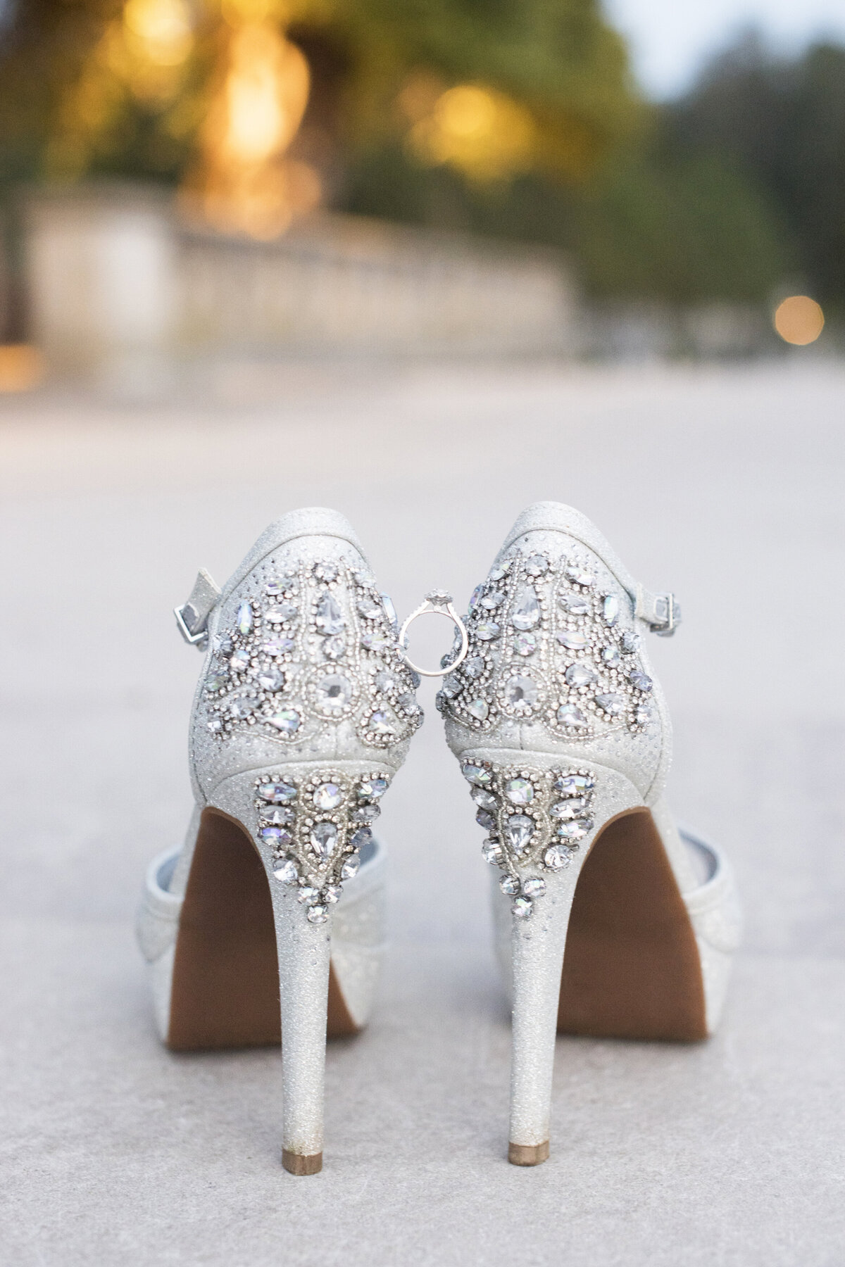 Biltmore Estate wedding photography shoes with ring Asheville, NC