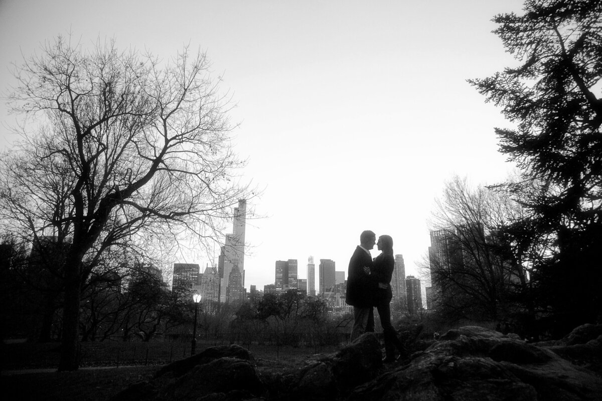 engaged couple in the park