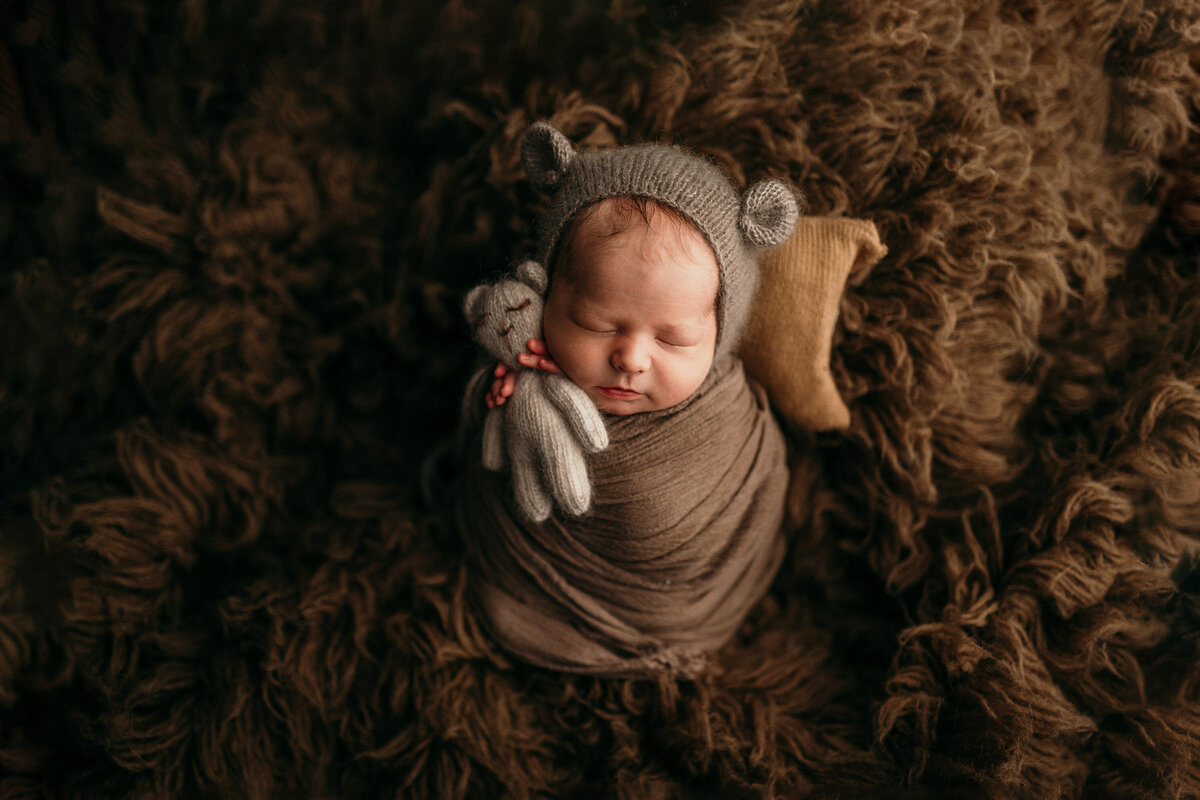 Brown-themed portrait of newborn baby swaddles and holding a tiny teddy bear against a furry, brown backdrop.