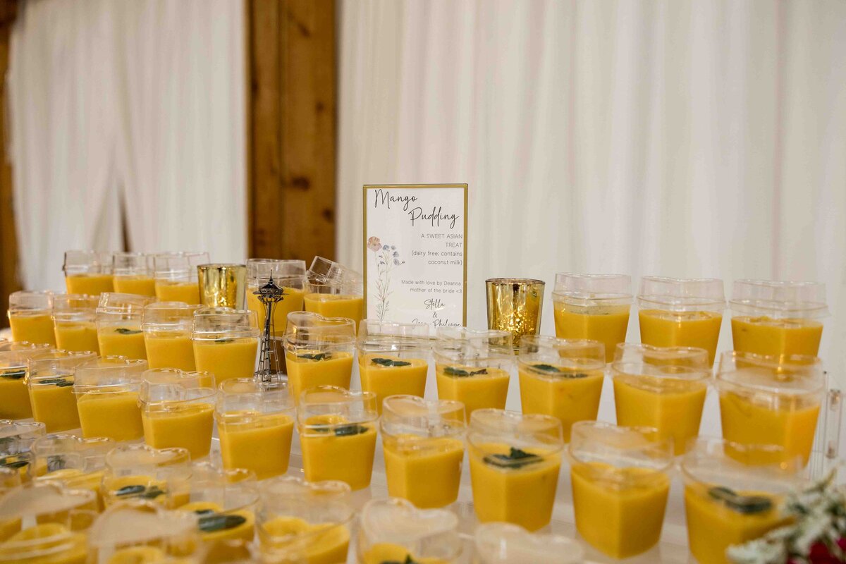 Elona_Shea_Photography_lake_Seattle_washington_kiana_lodge_wedding-165