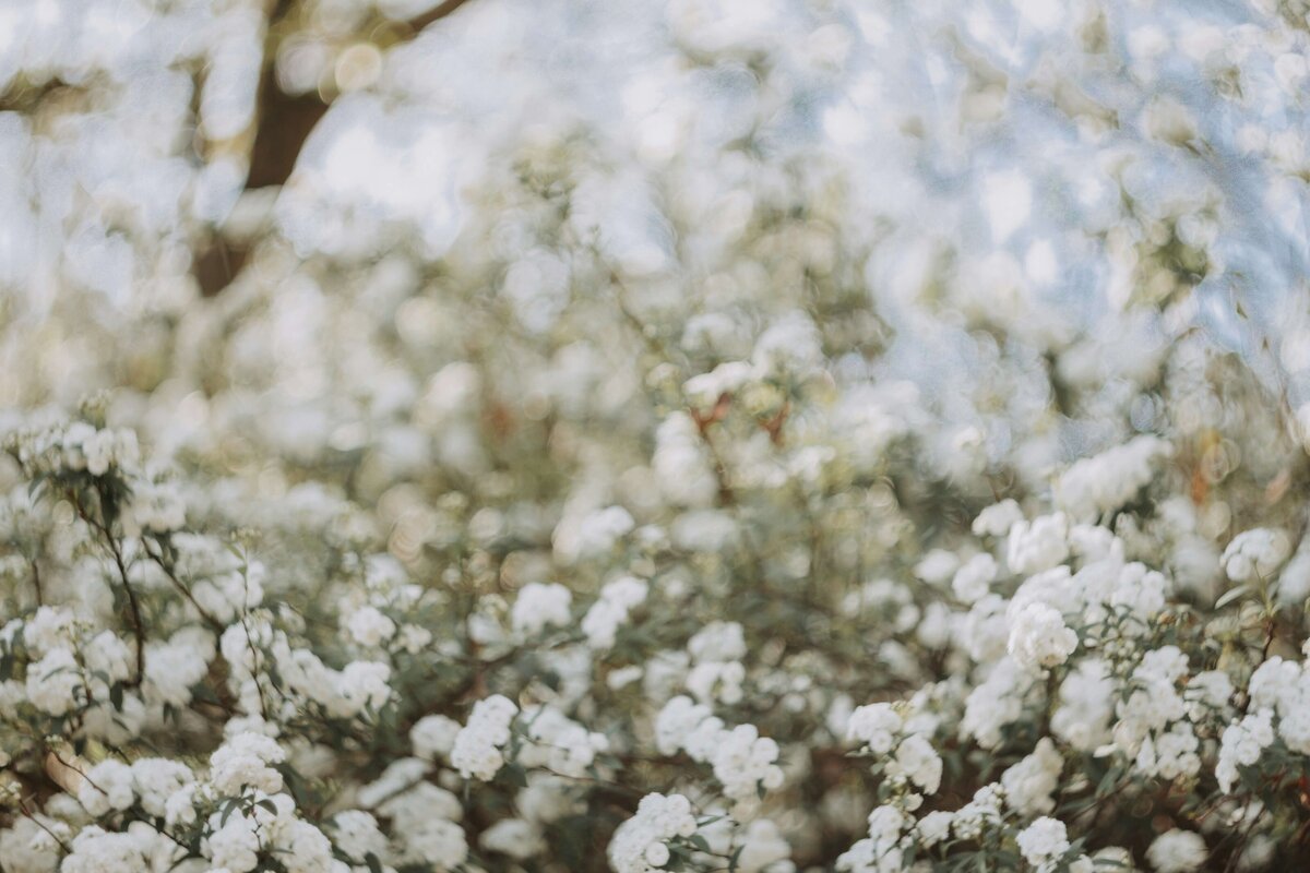 grace-brauteseth-PPBW5ldUkXg-unsplash