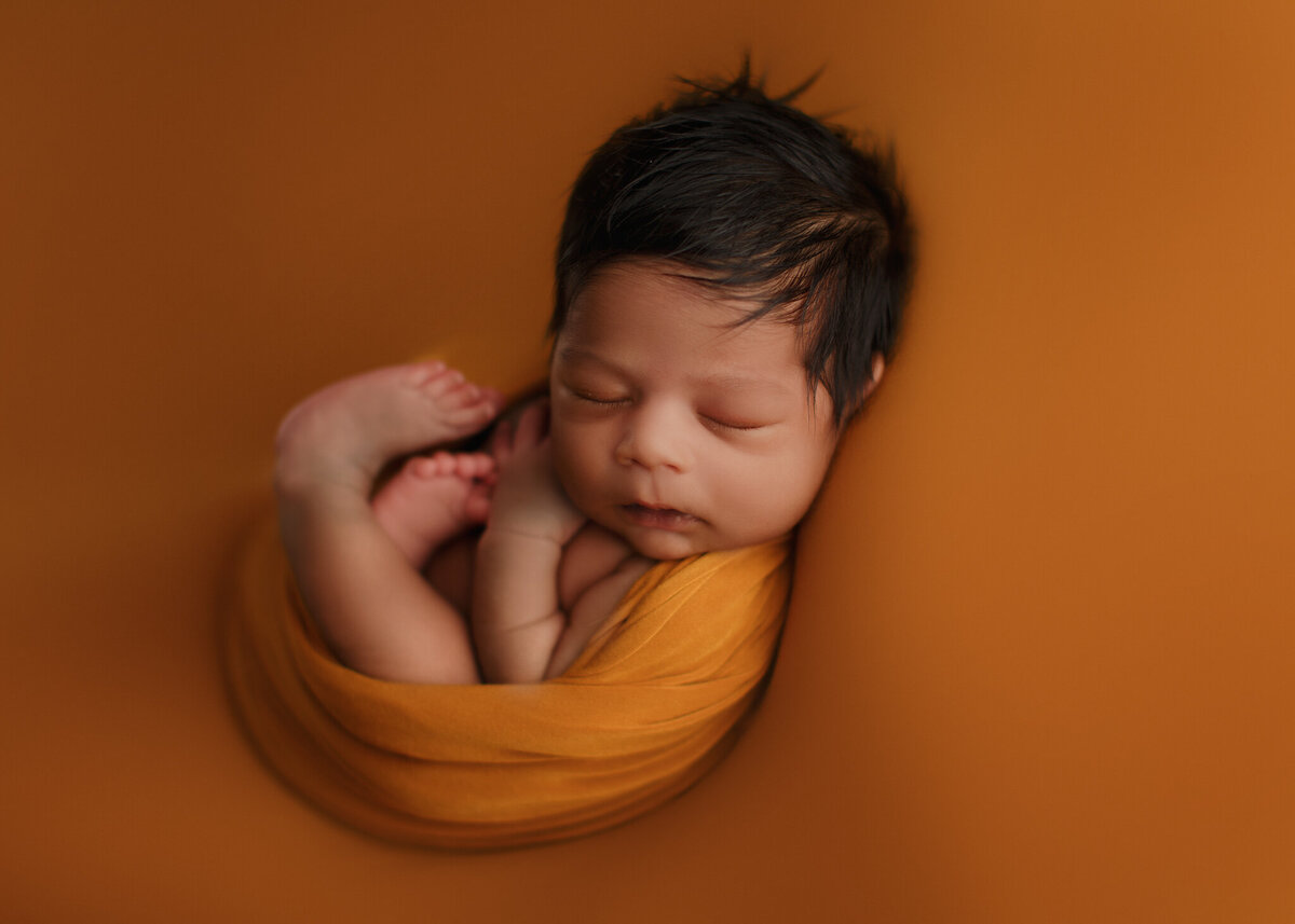 Newborn-Photographer-Photography-Vaughan-Maple-6-169