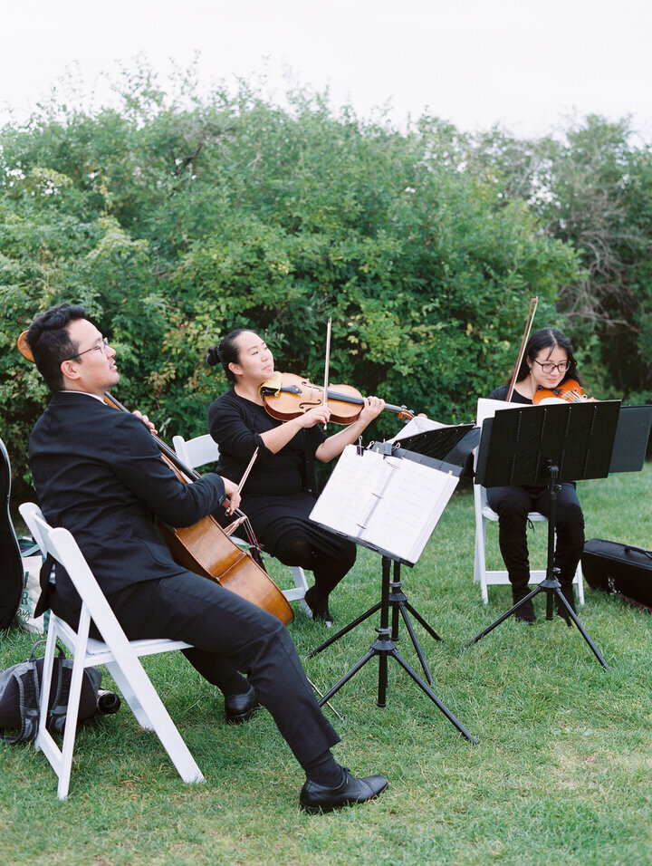 string trio, musician for wedding ceremony at newport castle hill inn