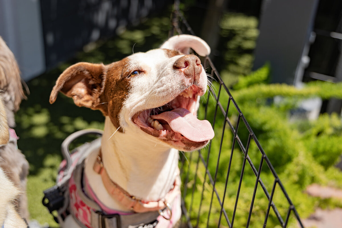 The Unstopables-84_websize