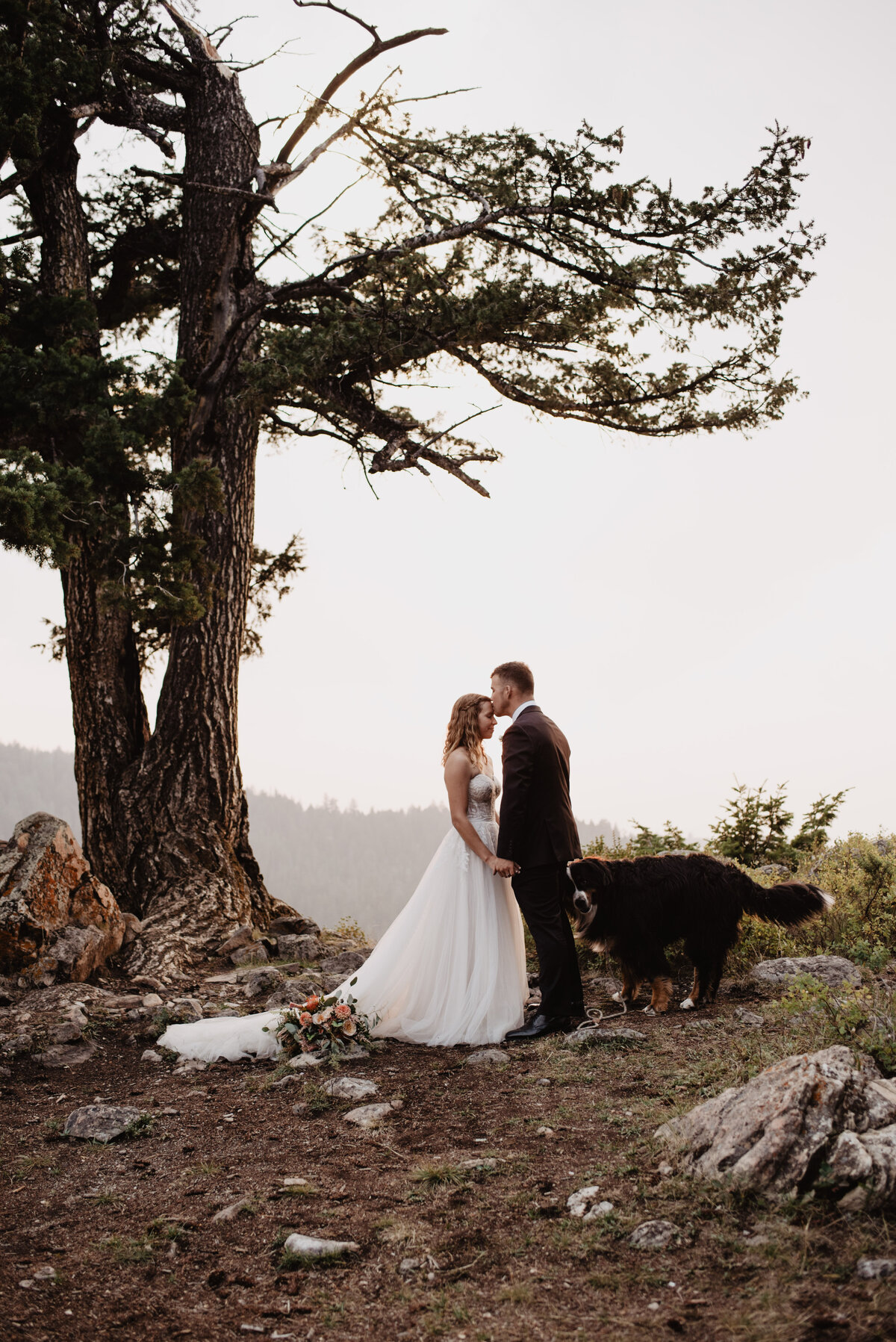 Jackson Hole Photographers capture groom kissing bride's forehead