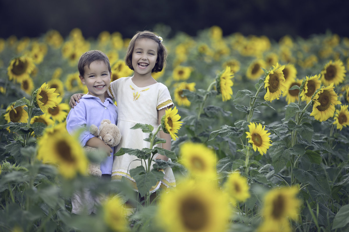 children in sunflower field