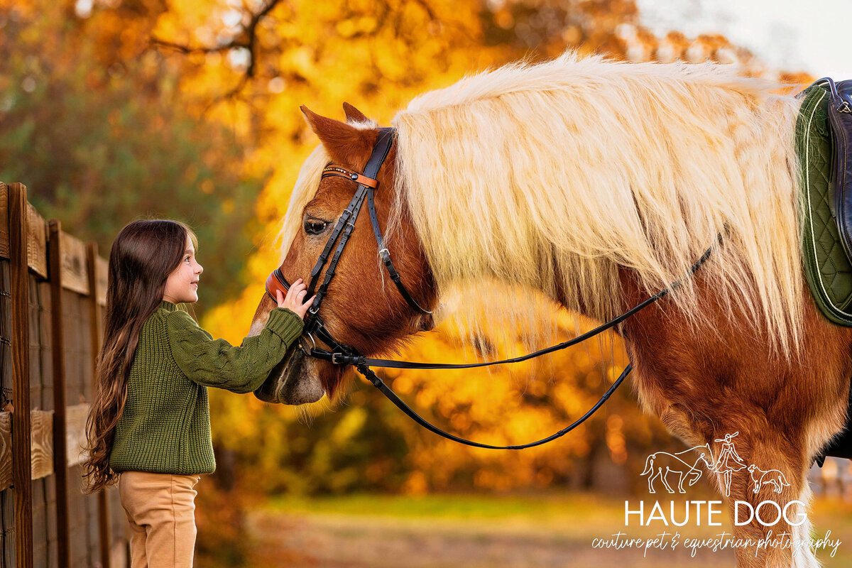 Young equestrian and Halflinger pony look lovingly at each other under fall trees.