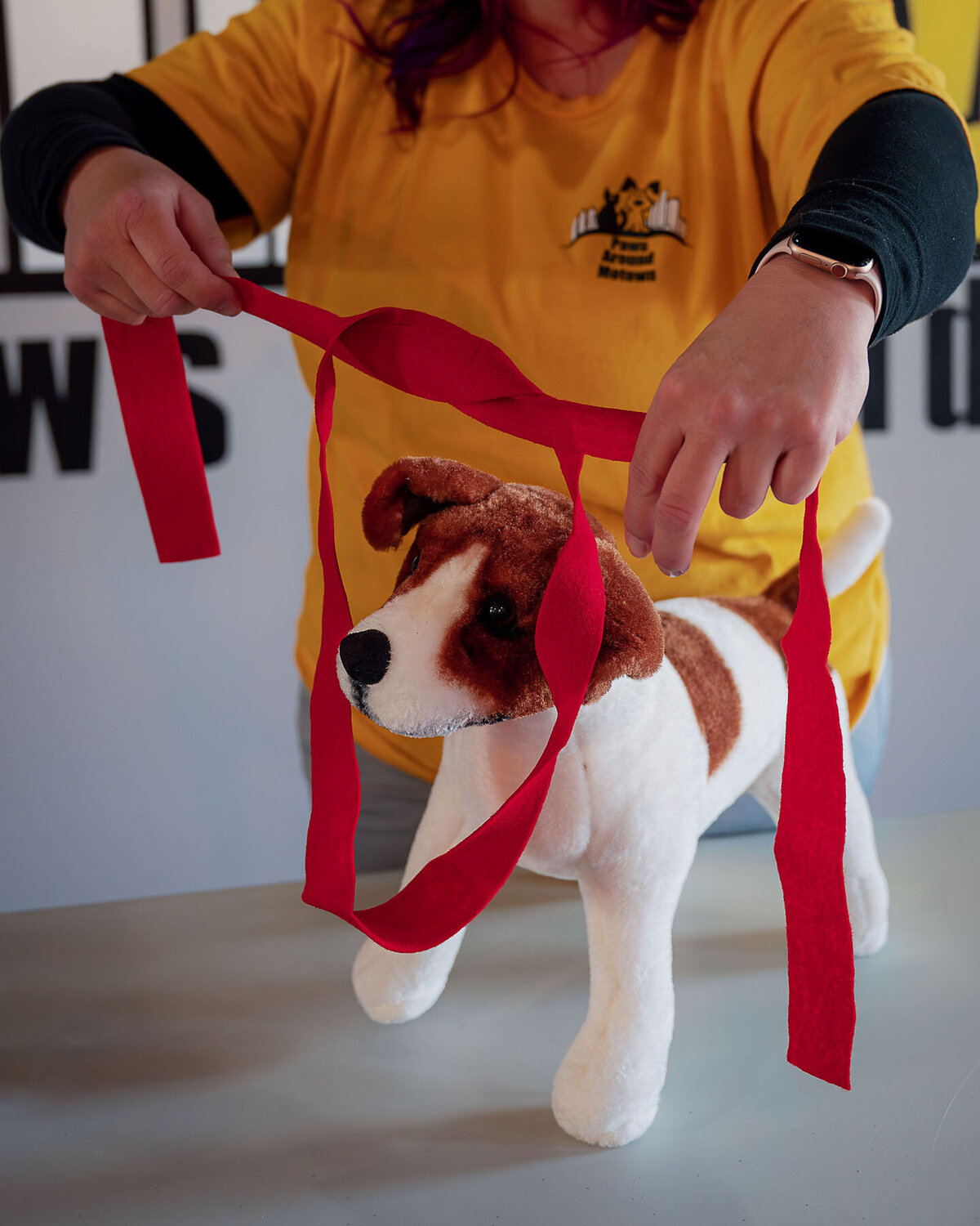 Business owner demonstrating using a cotton belt as a muzzle on a stuffed dog for training