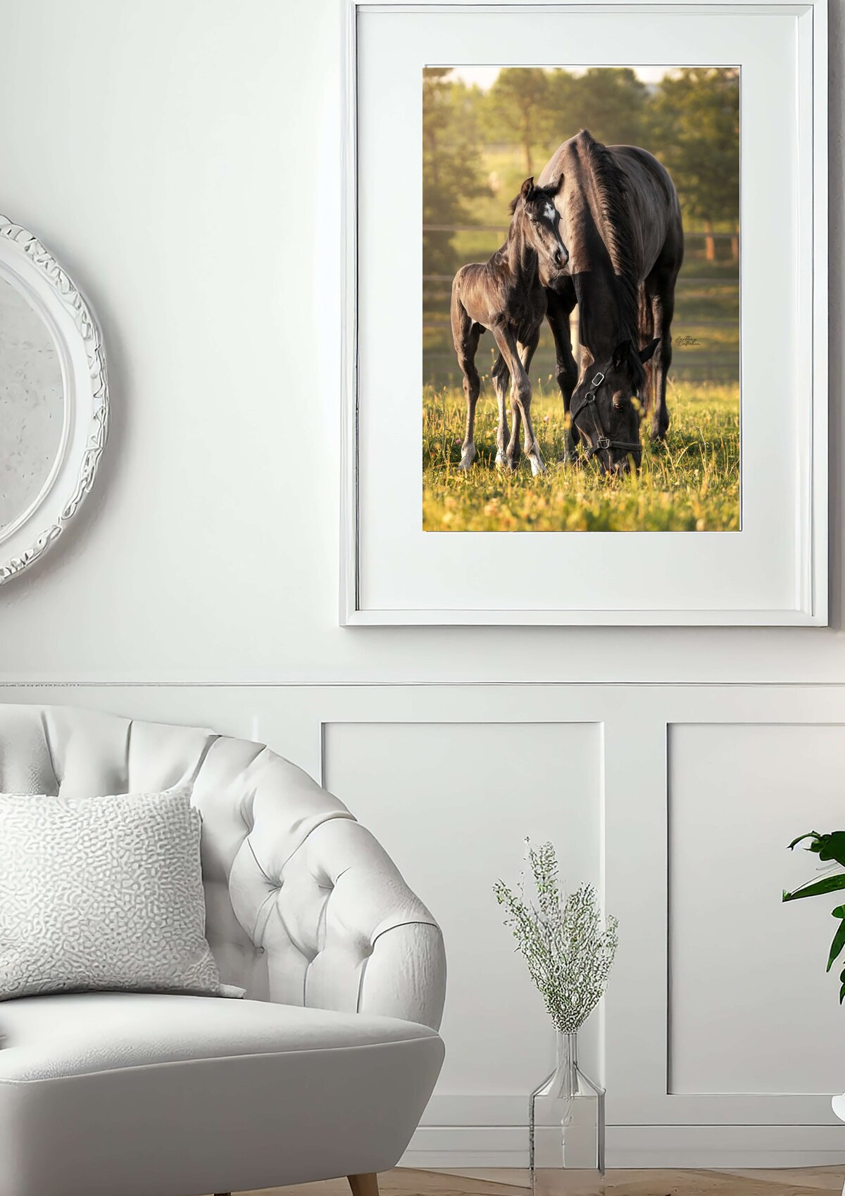 Dutch Warmblood mare and foal in a field as a wall art photo in a livingroom