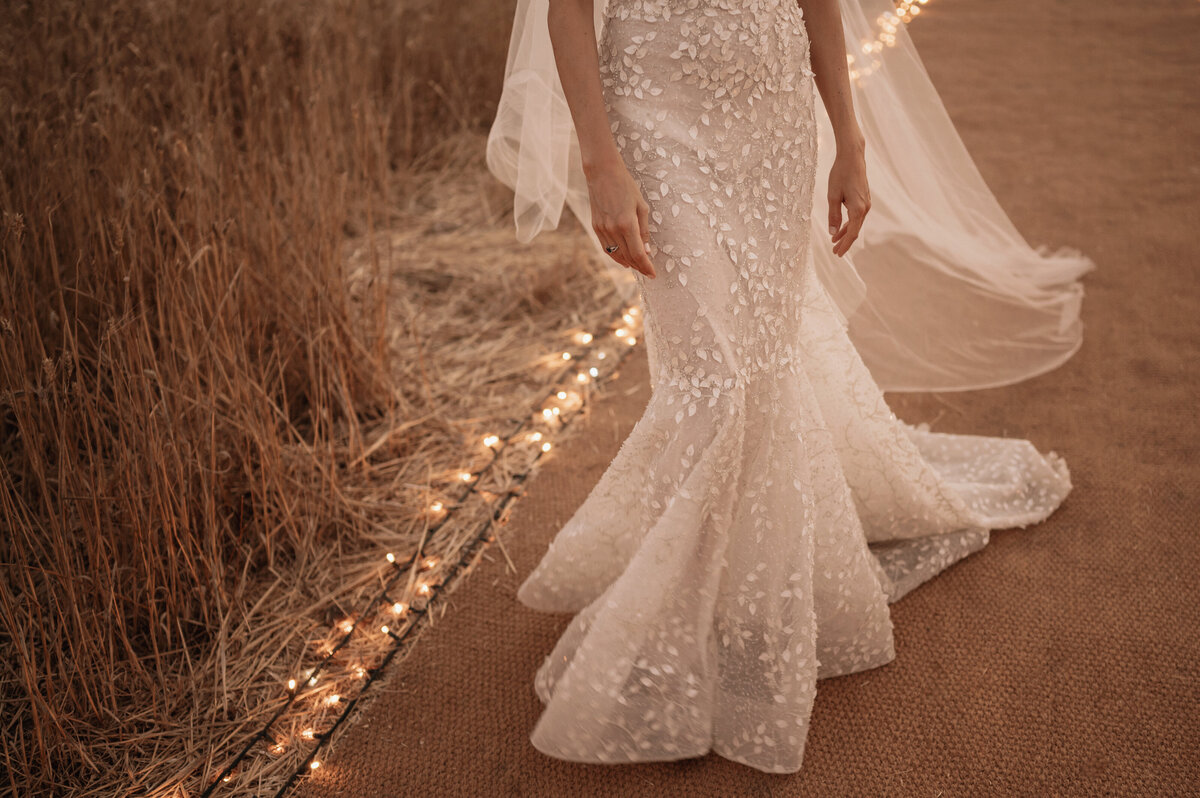 Bride dress details