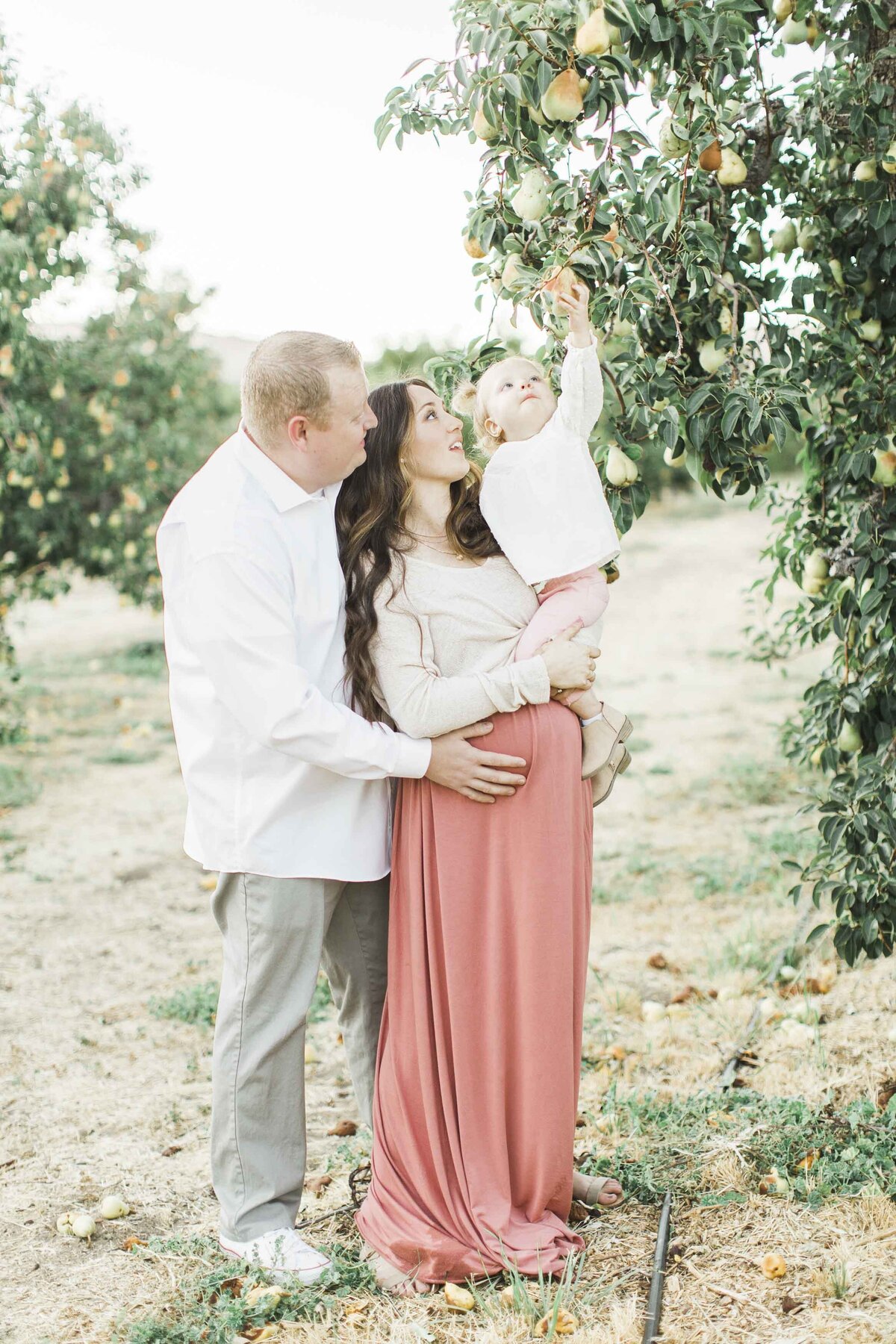 Carmel-Showit-Website-Template-For-Photographers-Coaches-Planners_128