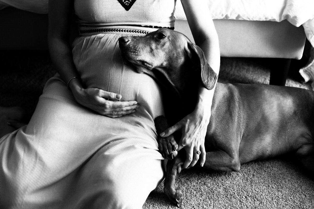 baby bump with dog laying on it