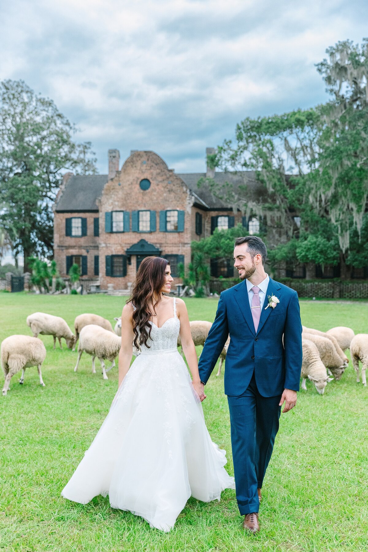 bride + groom with sheep at middleton place charleston