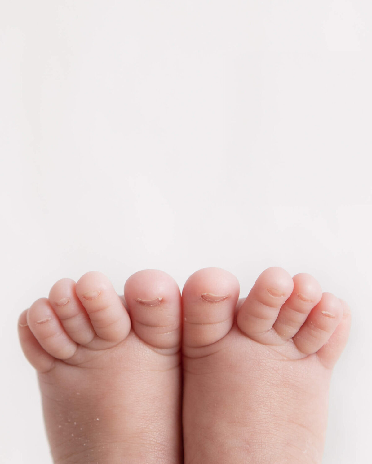 Newborn feet photographed by baby photographer Elsie Rose Photography in Los Angeles