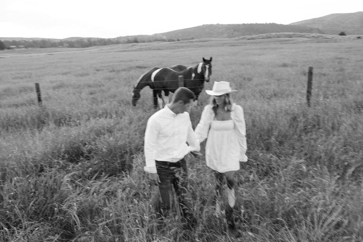 presley-gray-horse-pasture-engagement8922