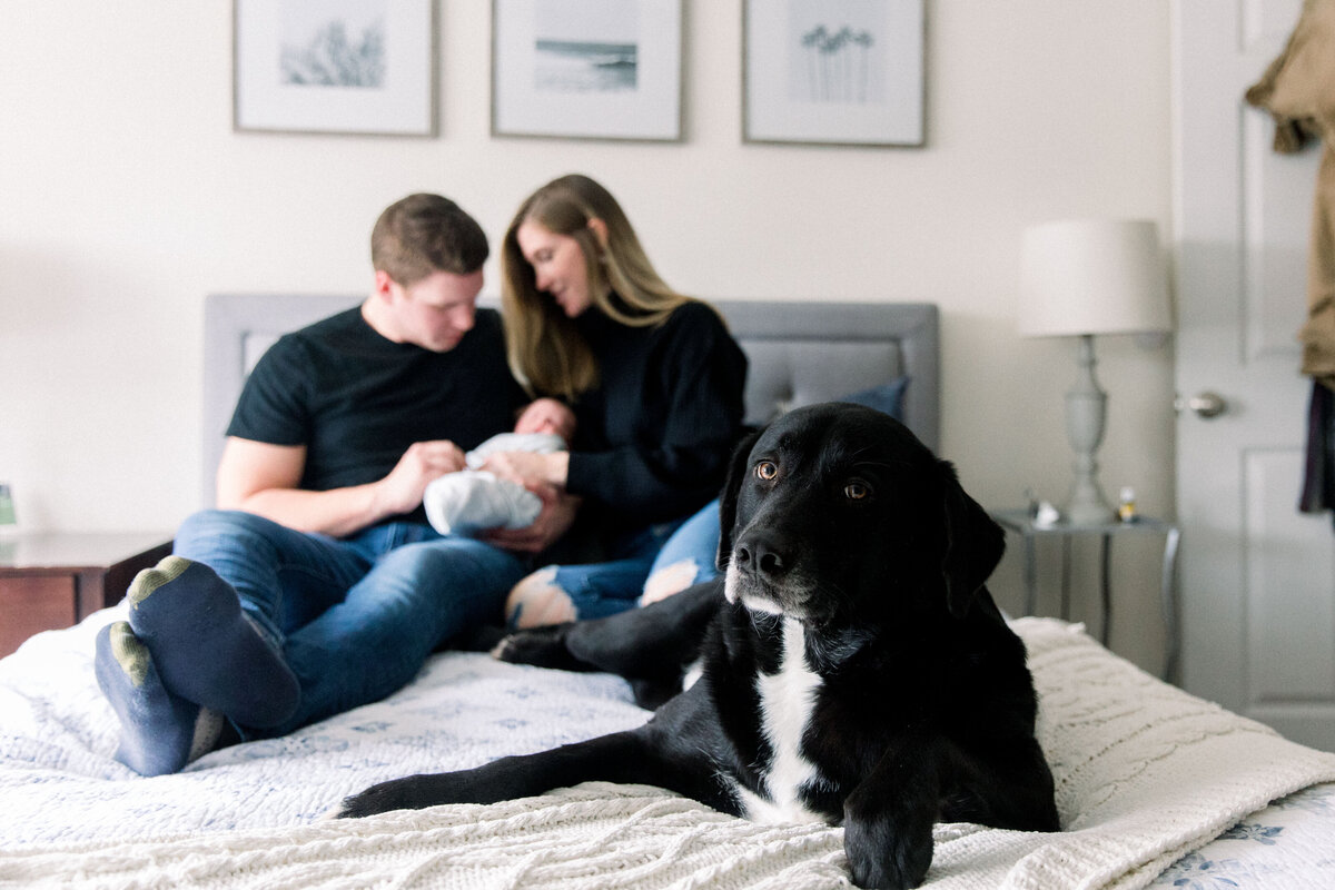 couple on bed with newborn baby by New Hampshire maternity photographer