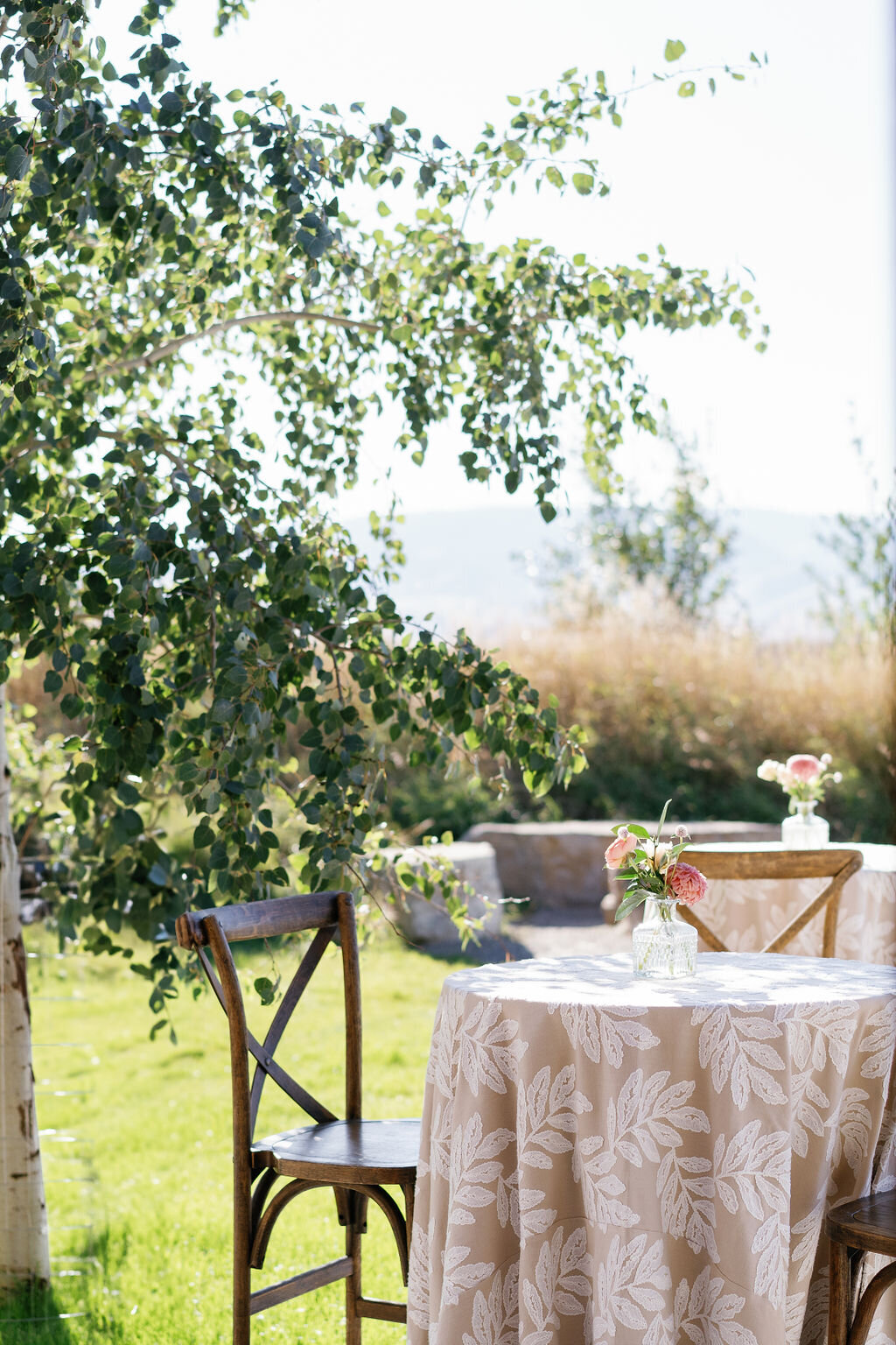 Copper Rose Ranch_Troy Meikle27