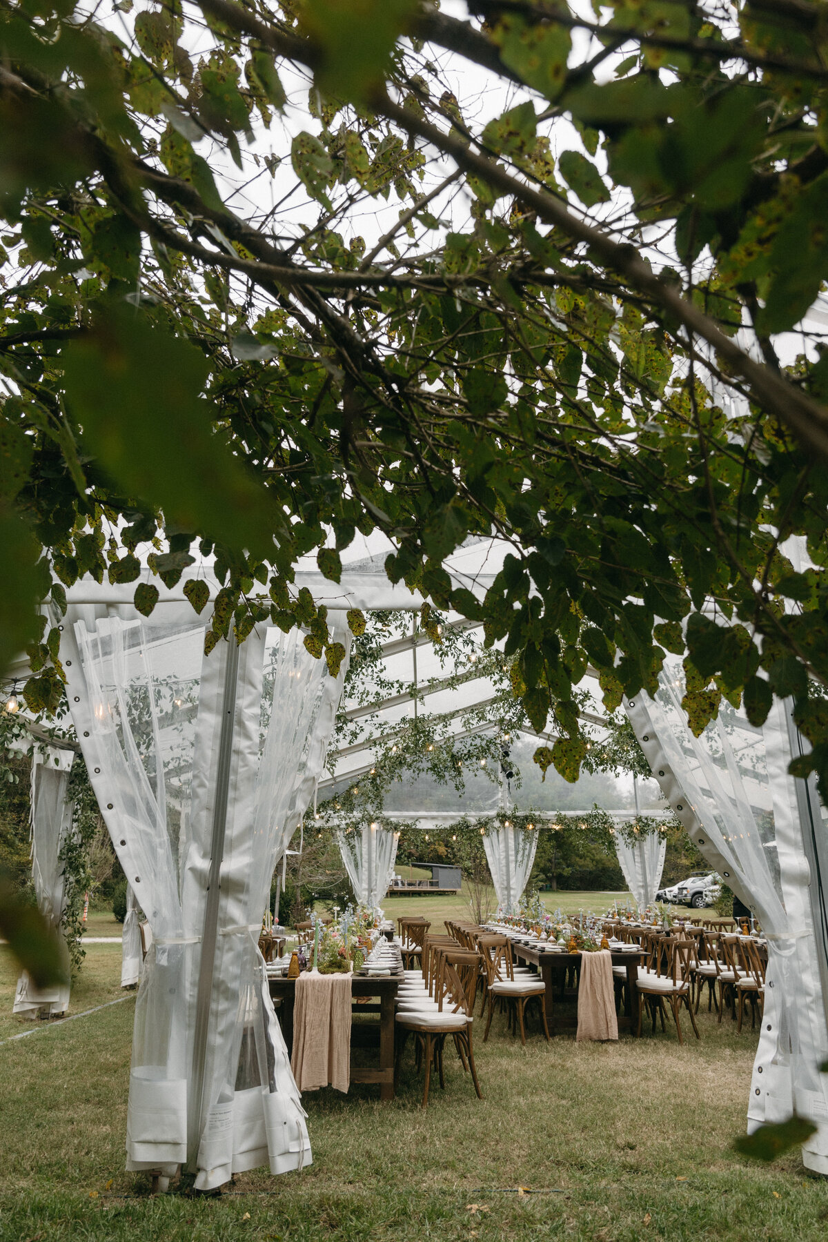 Clear-tent wedding reception with long wooden tables, garden-inspired floral centerpieces, and greenery installations blending into the surrounding trees at The Nest in Northwest Arkansas.