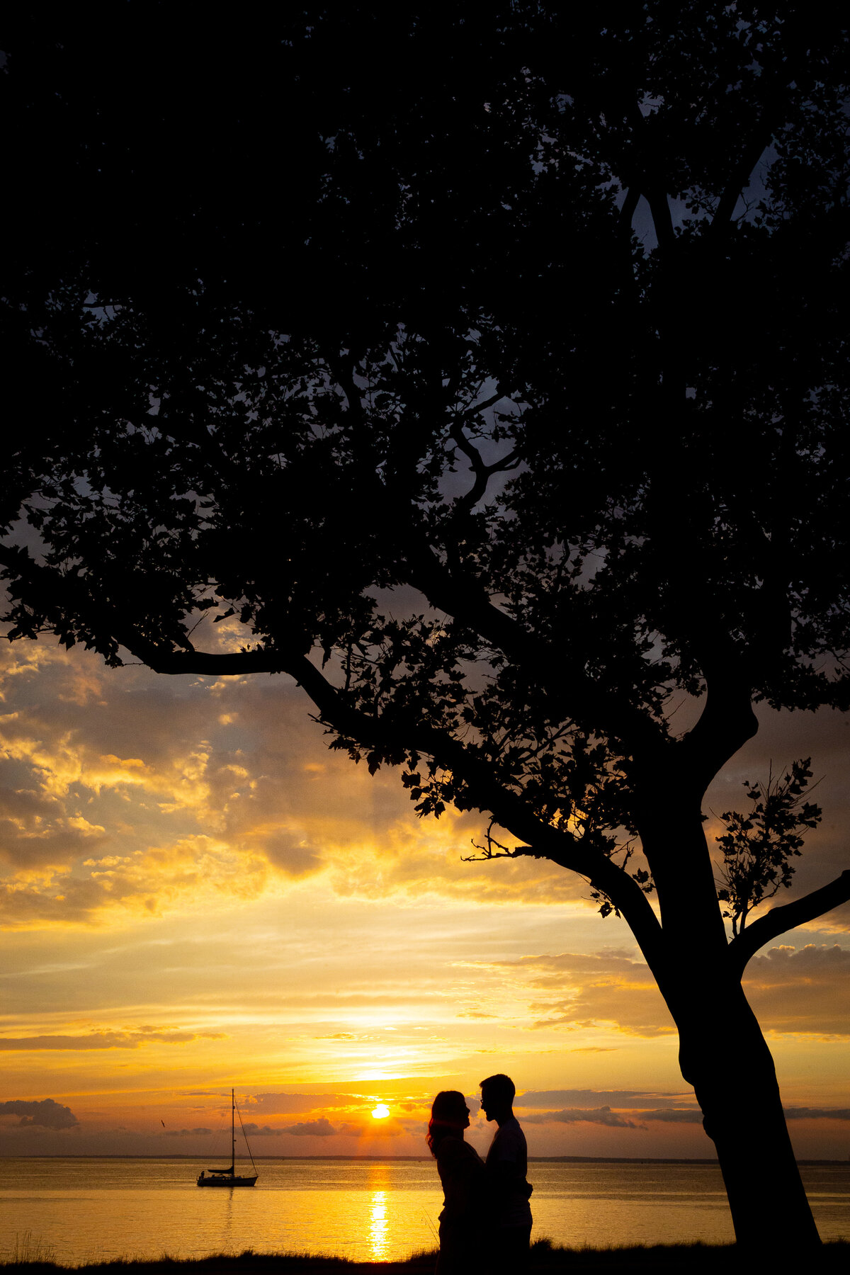 engagement-sunset-silhouette-water-tree