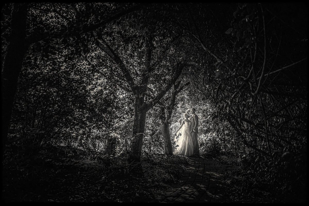 Bride in a glowing dress standing under a spotlight in a dark forest, creating a dramatic contrast in the black and white photo