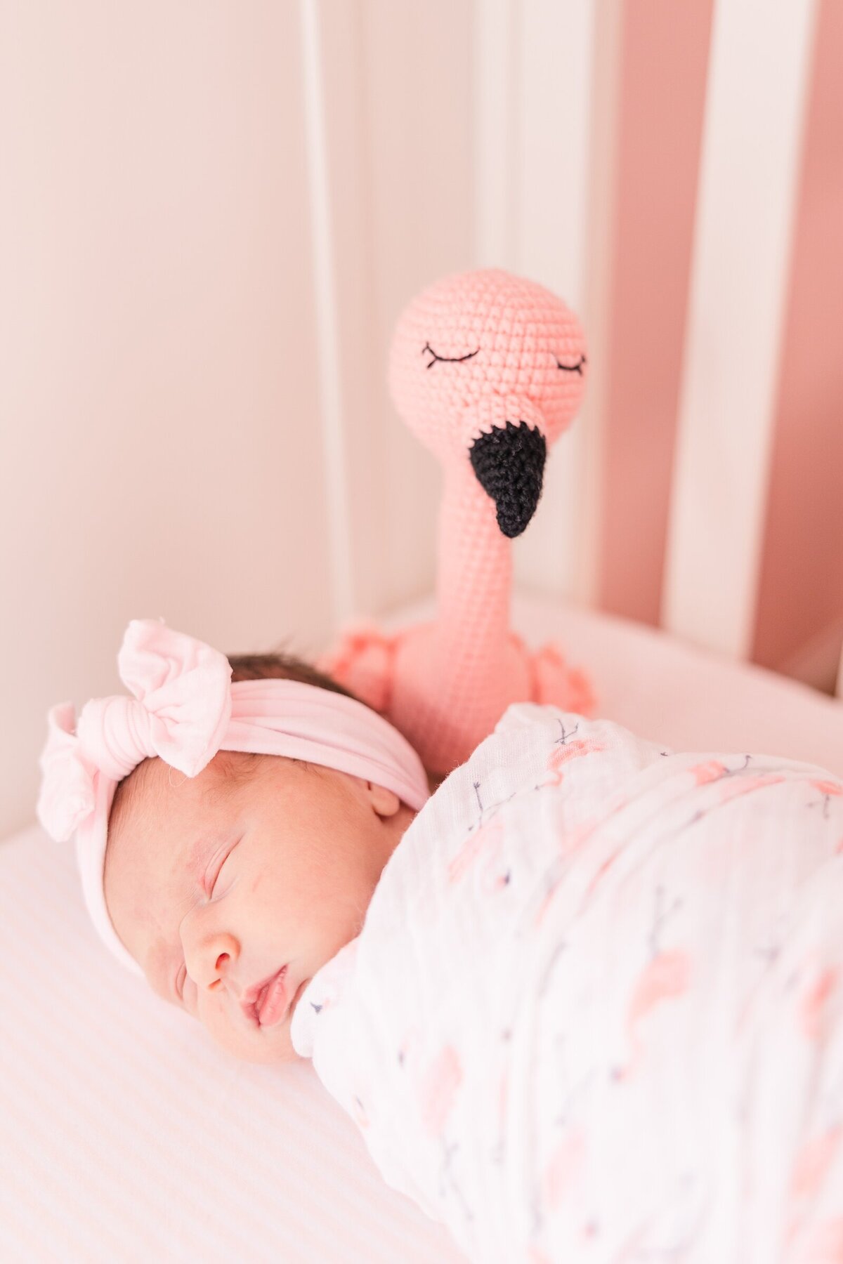 Sleeping newborn with her stuffed flamingo at a lifestyle newborn session