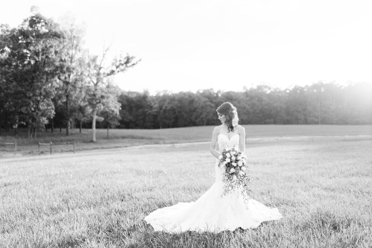 charlotte-wedding-photography-megan-pitts00008